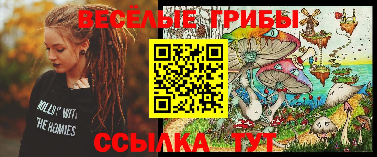 Псилоцибиновые грибы Magic Shrooms Астрахань