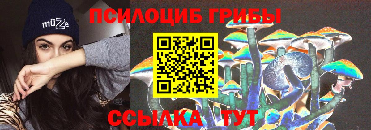 Псилоцибиновые грибы мицелий  Псилоцибиновые грибы ЛСД  Астрахань  что такое наркотик  Вход с VPN 
